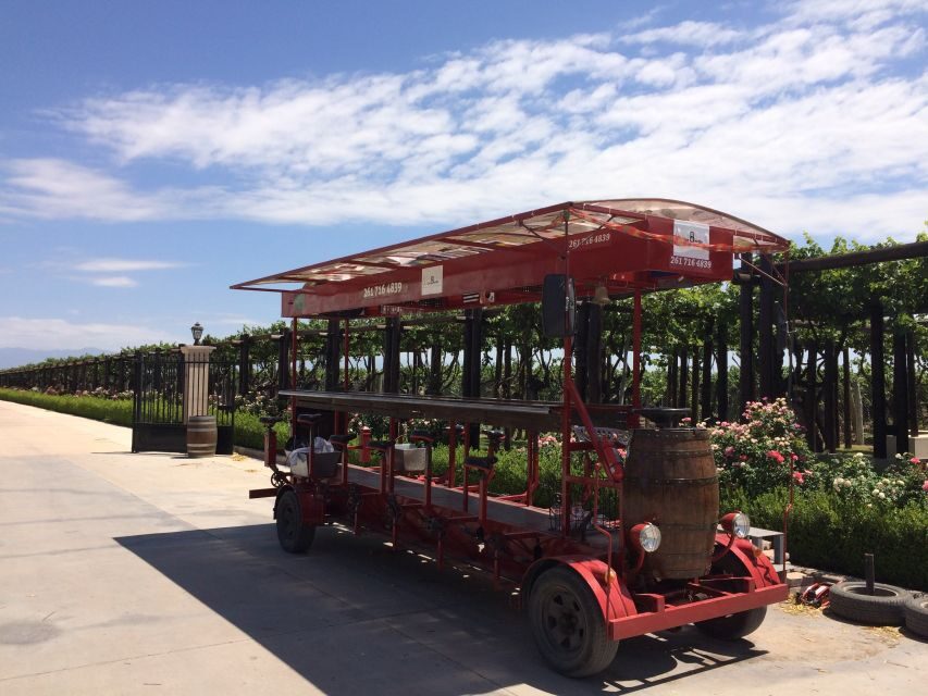 Mendoza: Winebike Tasting Tour with Optional Lunch - Tempus Alba: a big exporter with guided tastings