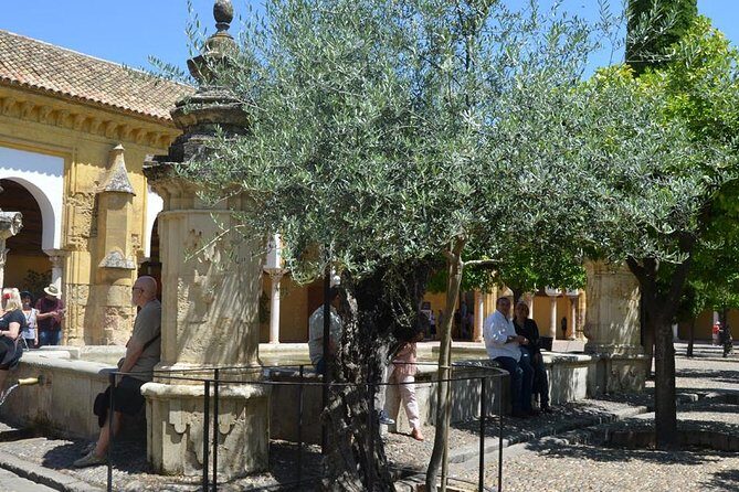 Mosque of Cordoba History Tour in English Tickets included - Best next steps after the tour in Córdoba