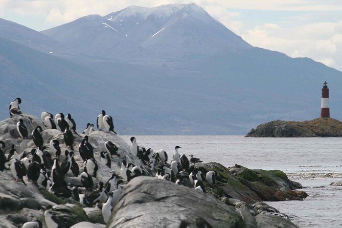 Navigate through the Beagle Channel: Seal, Bird & Penguin Islands - Faro Les Eclaireurs and the Monte Cervantes Shipwreck Story