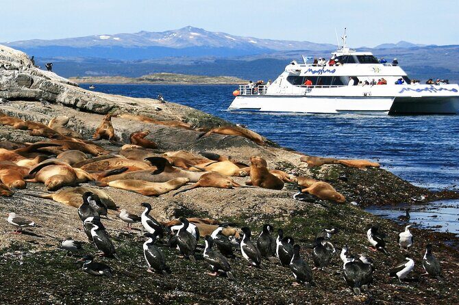Navigation to Beagle Channel and Sea Lions Island with Transfers - Tunnel, Fique Ranch, Encajonado River: how the guide makes Darwin’s route make sense