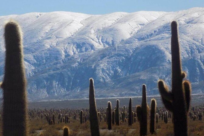 One Day Tour of Cachi and Calchaquí Valleys from Salta - Getting Picked Up at 6:30 and How the Minibus Day Feels