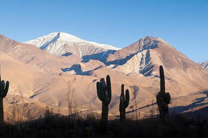 One Day Tour of Cachi and Calchaquí Valleys from Salta - Iglesia de San Jose: A Quick Stop That Adds Local Flavor