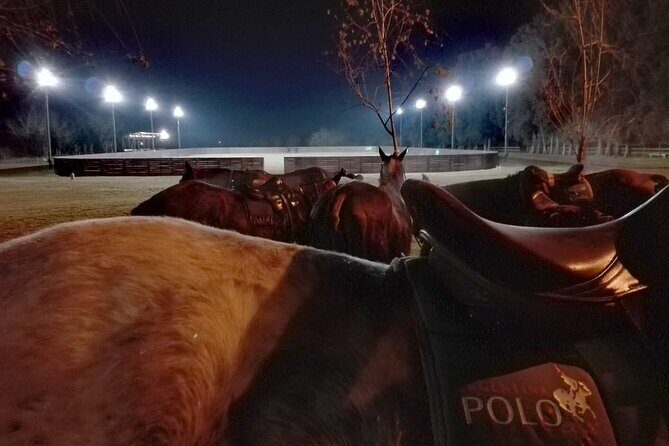 Polo Under the Stars and Argentine BBQ Evening Venue from Buenos Aires - Key Highlights You’ll Care About