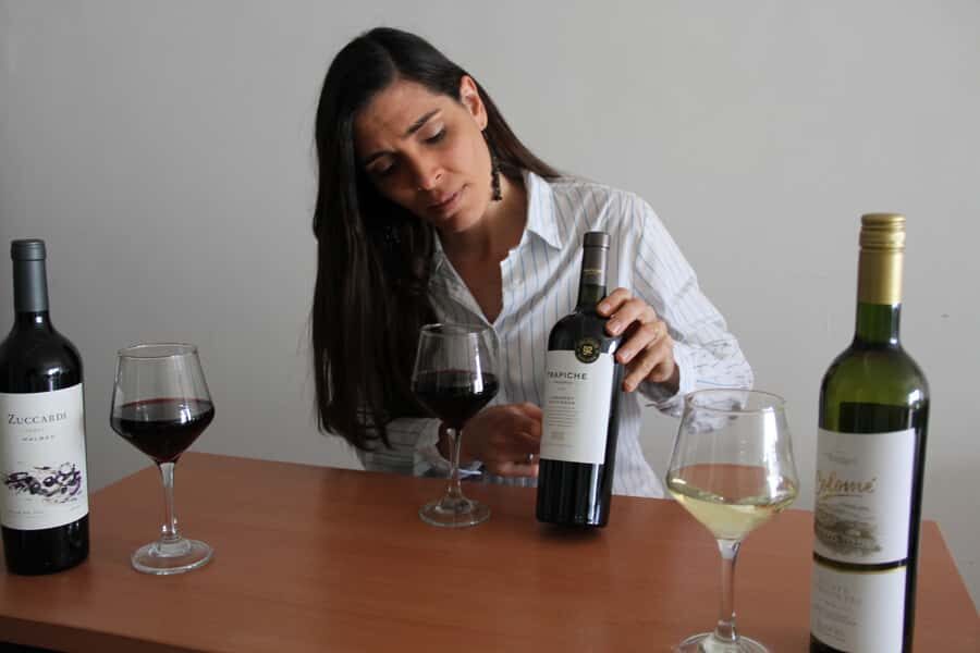 Premium Argentinian Wines and Malbec Tasting Experience - Price and value: does $50 get you enough wine and teaching?