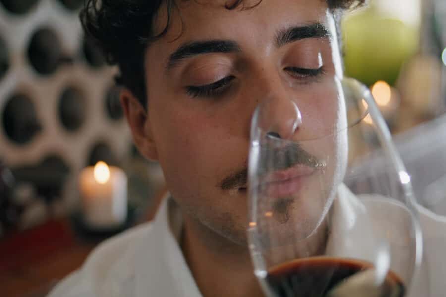 Premium Argentinian Wines and Malbec Tasting Experience - Practical tips: what to do before you go