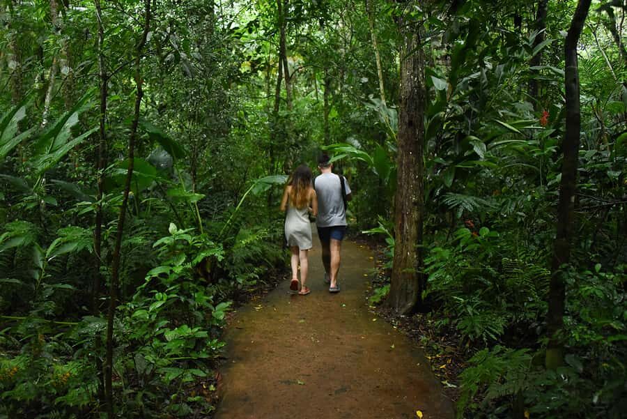 Puerto Iguazu: Iguaza Falls Brazilian Side & Bird Park Tour - The Bilingual Guide: Helpful Coordination With Varying Depth