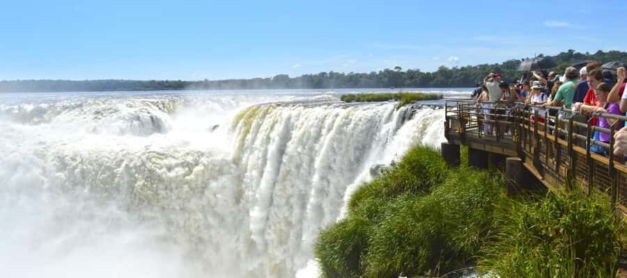 Puerto Iguazu: Iguazu Falls Argentinian Side Full-Day Tour - Macuco trail and Caí monkeys in the jungle