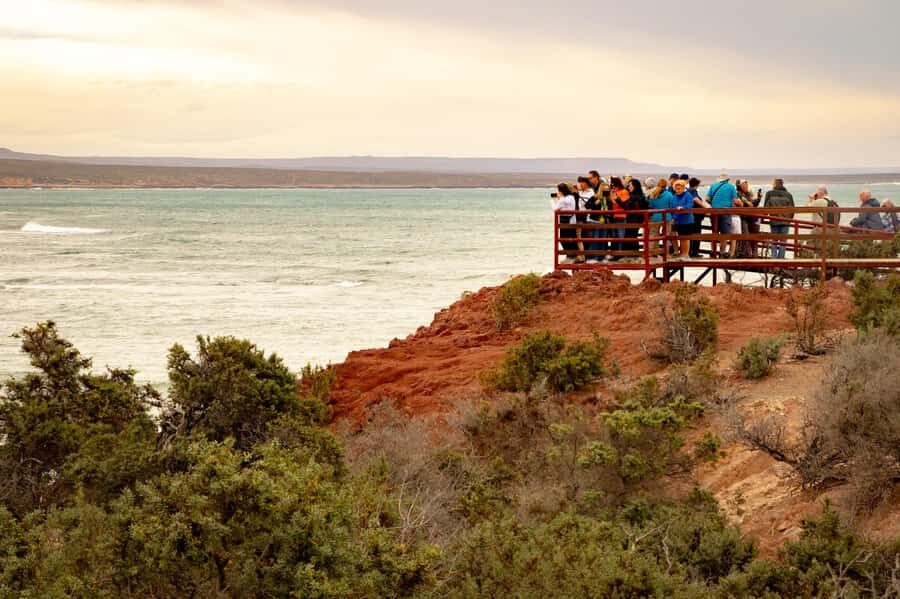 Puerto Madryn: Punta Tombo Walking Among Penguins Experience - Optional add-ons: choose one, then commit to the day plan