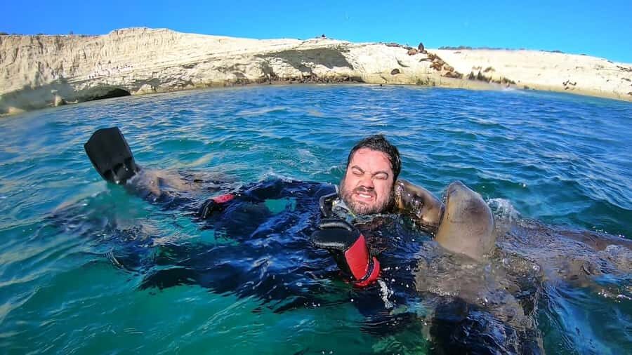 Puerto Madryn: Snorkeling Trip with Sea Lions - Who should book this sea lion snorkeling trip
