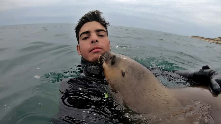 Puerto Madryn: Snorkeling Trip with Sea Lions - Wildlife spotting: whales, dolphins, penguins, and the reality of chance