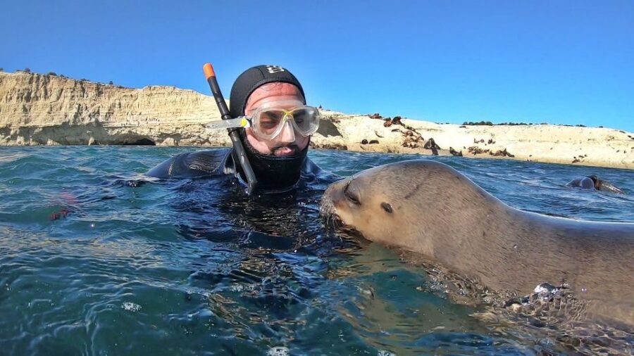 Puerto Madryn: Snorkeling Trip with Sea Lions - Gear, neoprene suits, and what to bring for comfort