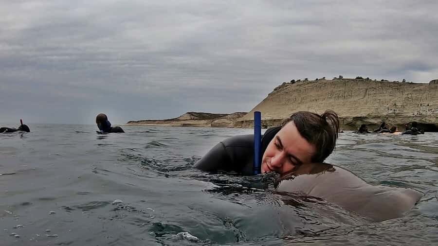 Puerto Madryn: Snorkeling Trip with Sea Lions - Safety and sea lion etiquette: how to get close without getting in the way