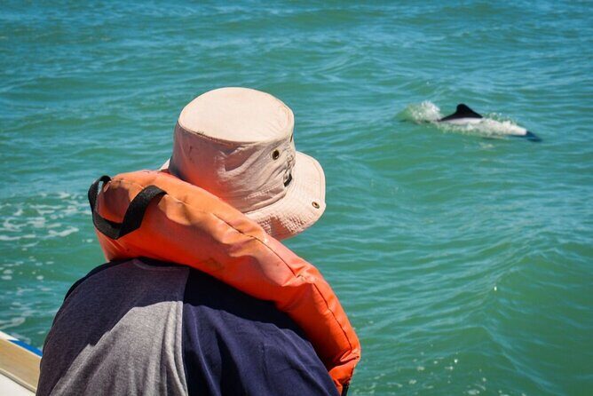 Punta Tombo Penguin Colony from Puerto Madryn with optional Toninas Watching - Puerto Rawson port and optional Toninas watching: the thrill and the risk