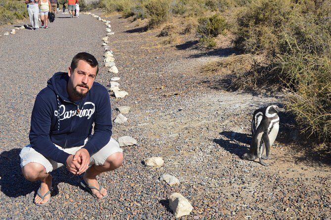 Punta Tombo Tour, the Penguin Experience - Who should book this tour?
