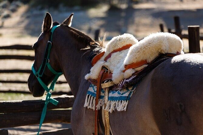 Ride Experience - Canyons & Mounts - Canyon of Calafate Creek: The Part That Changes Your Whole Perspective