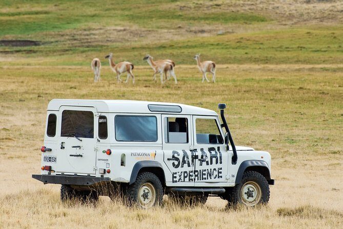 Safari Experience - Wildlife & Steppe - Key things that make this Safari Experience special