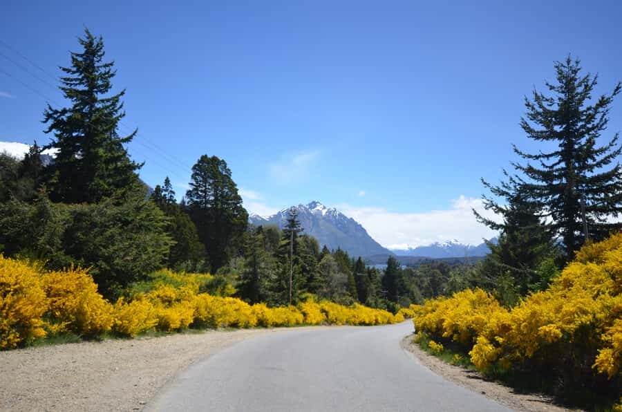 San Martín de los Andes por 7 Lagos - Key points at a glance