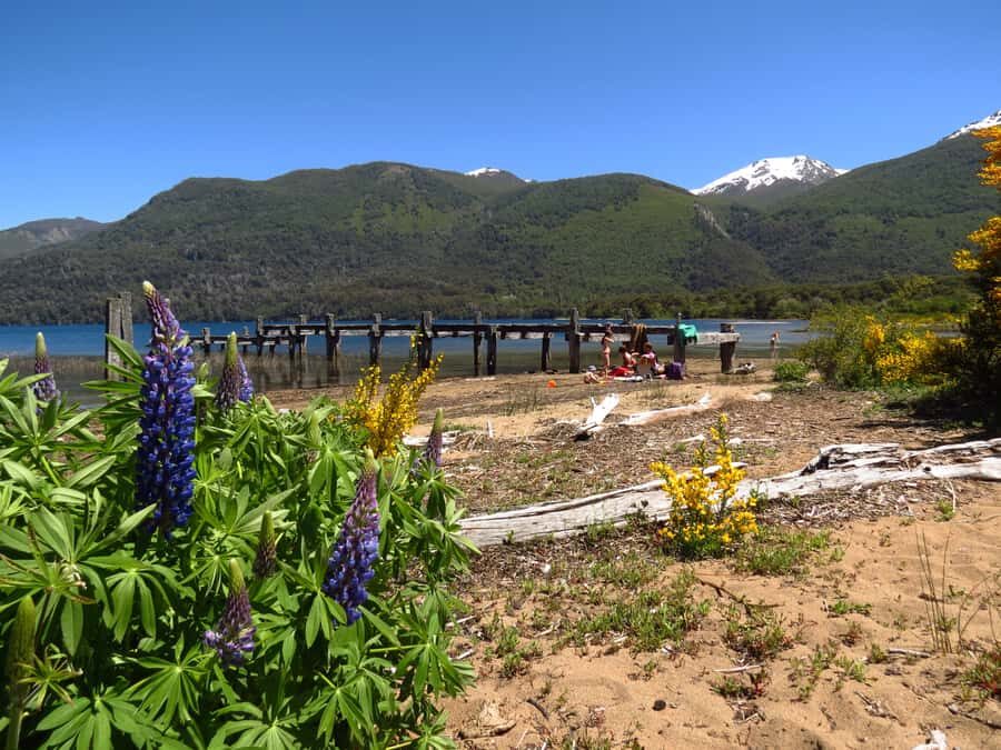 San Martín de los Andes por 7 Lagos - Starting in Bariloche: 8 AM pickup and the drive toward Route 40