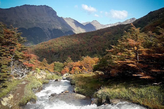 Small group Trekking to Vinciguerra Glacier and Témpanos Lagoon - Why this Ushuaia hike beats the usual day tours
