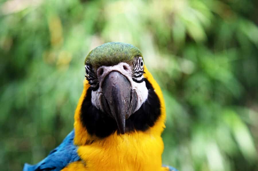 Temaiken Biopark Entry Tickets - The aquarium is the most reliable anchor in your day
