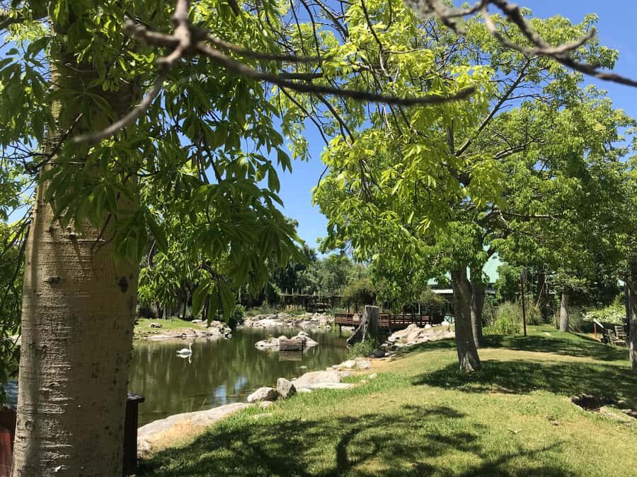 Temaiken Biopark Entry Tickets - Should you book Temaiken Biopark entry tickets?