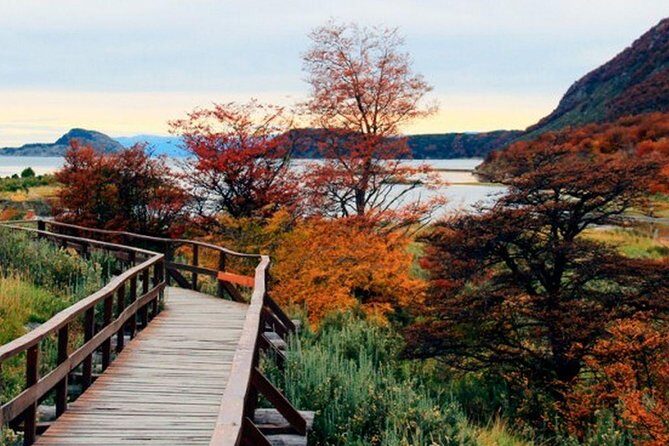 Tierra del Fuego National Park - Bahia Lapataia: where Argentina’s Route 3 ends