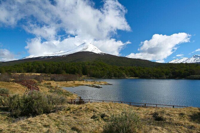 Tierra del Fuego National Park, Ushuaia City Tour Shore Excursion - Key highlights you’ll actually feel