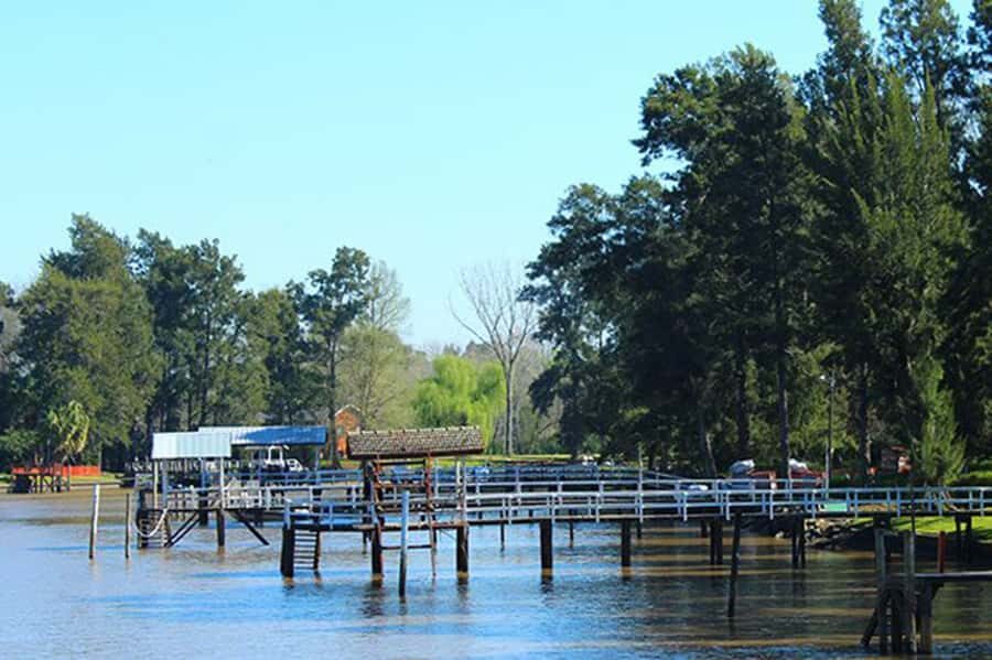 Tigre: River Delta Panoramic Boat Tour - The best way to use the open deck (and why the boat layout matters)