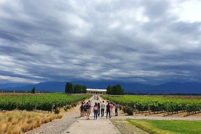 Top Rated: Winery Tour with Lunch in Mendoza - Stop 2 in Maipú: Cradle of Wine and More Tasting Time