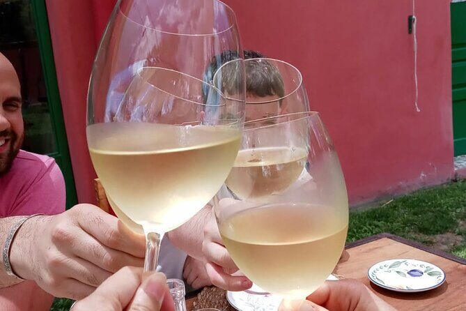 Top Rated: Winery Tour with Lunch in Mendoza - Price and Logistics: What You’re Really Paying For