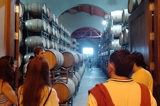 Top Rated: Winery Tour with Lunch in Mendoza - Guide and Driver Quality: The Human Part of the Day