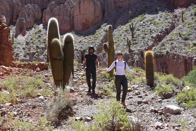 Trekking Purmamarca - Flora Notes and Medicinal Uses: Learning Without Pretending You’re a Botanist