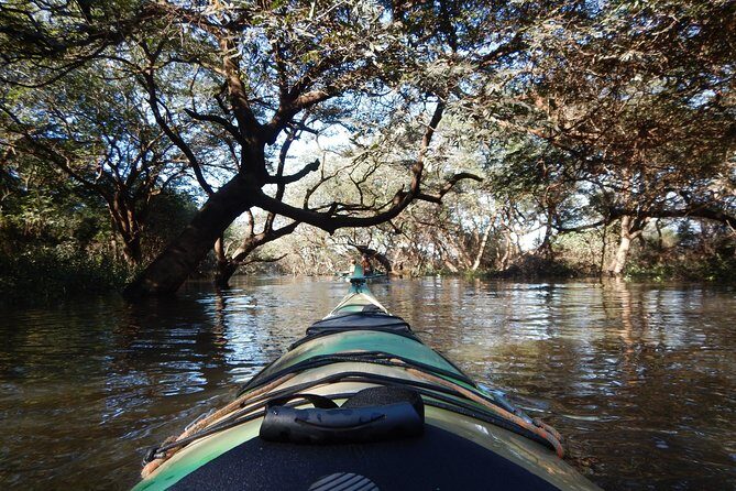 TRU KAYAK - Cruise along the majestic Uruguay River - San José meeting point and the 10:00 am start you can plan around