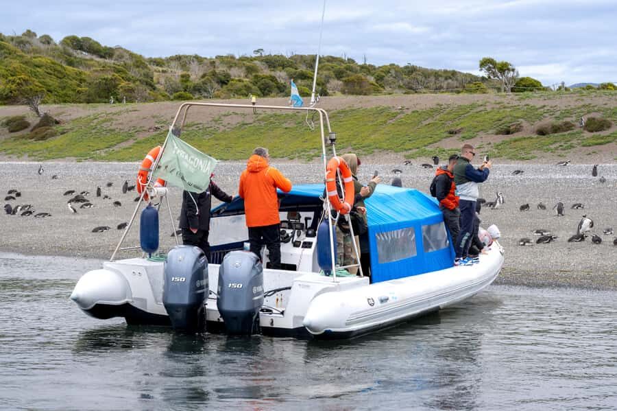 USHUAIA: ALMANZA, THE SPIDER CRAB ROUTE & PENGUIN SIGHTING - Key things to know before you go
