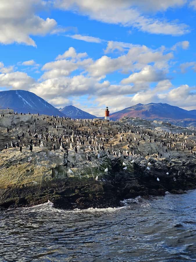 Ushuaia: Beagle Channel and Penguin Island - On the catamaran: comfortable ride, real commentary, and cold-weather realities