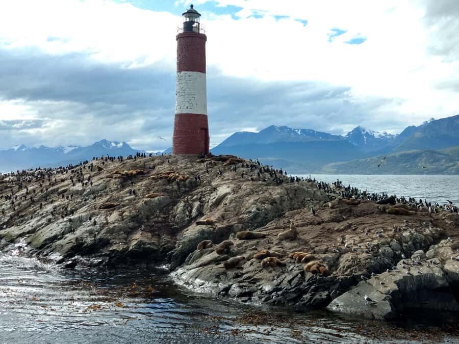 Ushuaia: Beagle Channel & Sea Wolves Island Catamaran Cruise - Sea Lion Island: Two Species and the Value of Getting Up Close