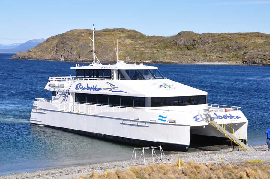 Ushuaia: Beagle Channel & Sea Wolves Island Catamaran Cruise - What to Know Before You Go (So You Don’t Fight the Conditions)