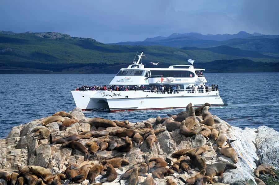 Ushuaia: Beagle Channel, Seal Island & Bridges Islands Tour - Setting off from Ushuaia: sights you’ll catch before the wildlife