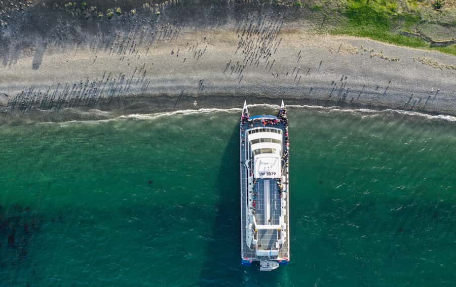 Ushuaia: Catamaran Sailing to Penguin Island - Key points worth knowing before you go