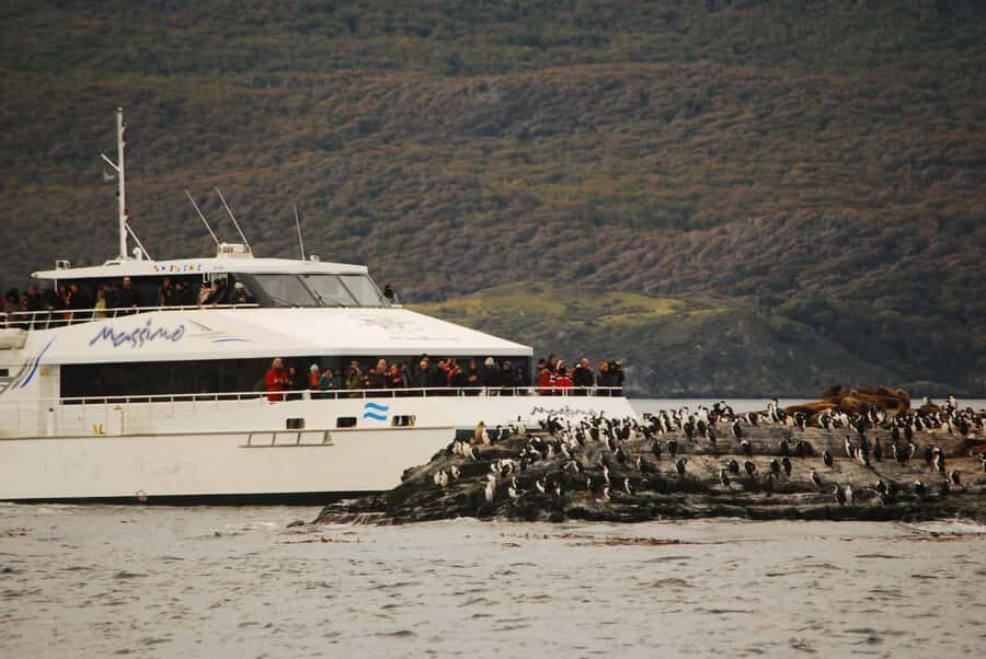 Ushuaia: Penguin Watching Tour by Catamaran - Entering the Beagle Channel: why this catamaran format works