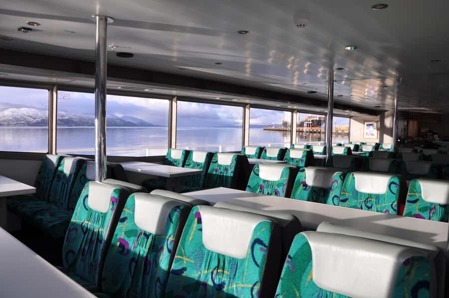 Ushuaia: Penguin Watching Tour by Catamaran - Les Eclaireurs Lighthouse: cormorants and a human story