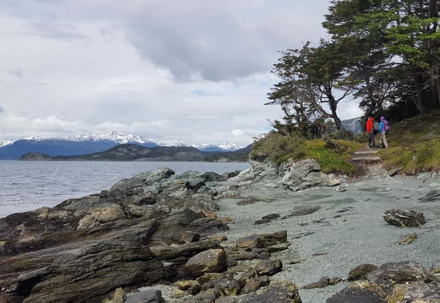 Ushuaia: Private Tour Tierra del Fuego National Park - Zaratiegui Bay: dramatic Beagle Channel views and coastal walking options