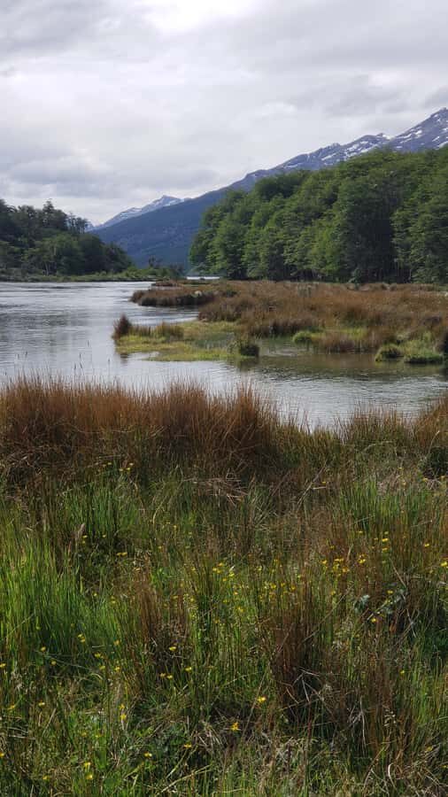 Ushuaia: Private Tour Tierra del Fuego National Park - Who this tour suits best in Ushuaia