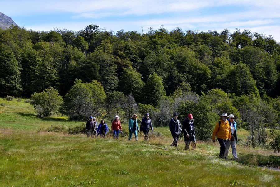 Ushuaia: Tierra del Fuego National Park - Key highlights at a glance
