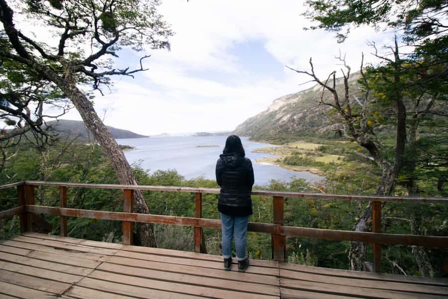 Ushuaia: Tierra del Fuego National Park - Guide and driver quality: why bilingual storytelling matters