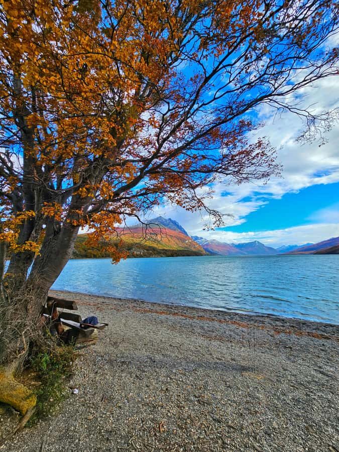 Ushuaia: Tierra del Fuego National Park - Price and value: what’s included, what costs extra, and how to budget