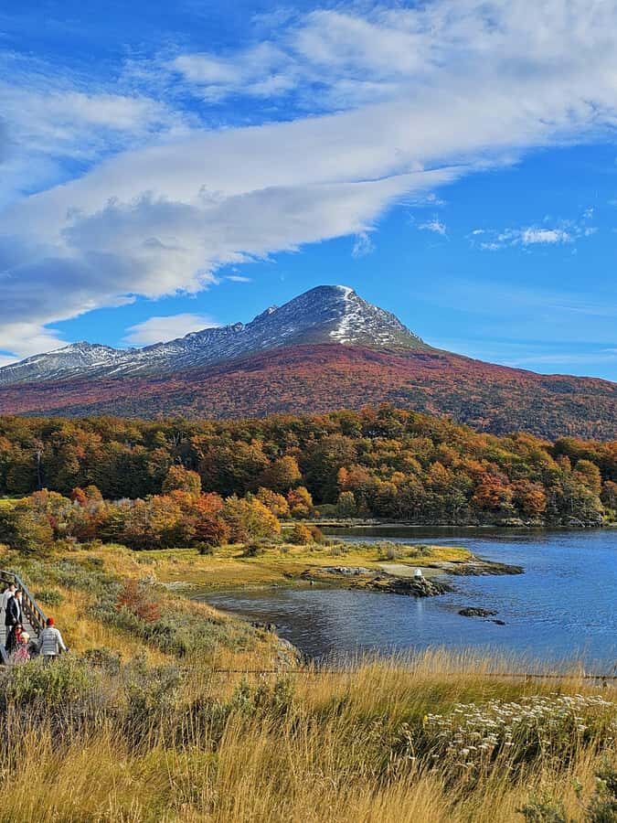 Ushuaia: Tierra del Fuego National Park - Who should book this tour (and who might skip it)