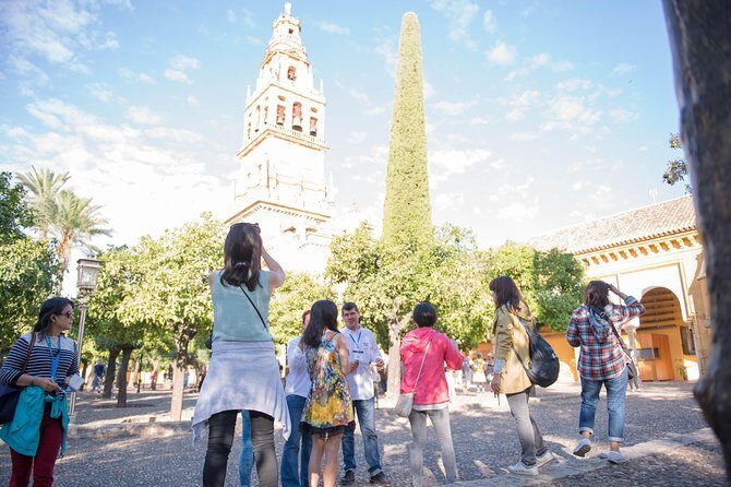 Visit in Spanish to the Cathedral Mosque. Does not include entrance ticket - Meet at C. Cardenal Herrero: How the Tour Starts Smoothly