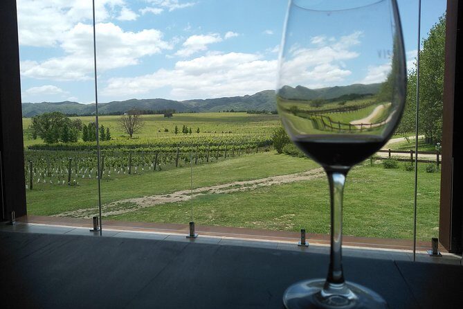 Wine Tour Privado a Calamuchita, Córdoba - Argentina - Mariano’s guidance: why the information matters (not just the wine)