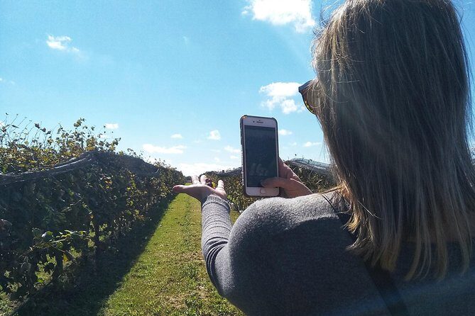 Wine Tour Privado a Calamuchita, Córdoba - Argentina - Start time and meeting point in Córdoba (so you’re not stressed)